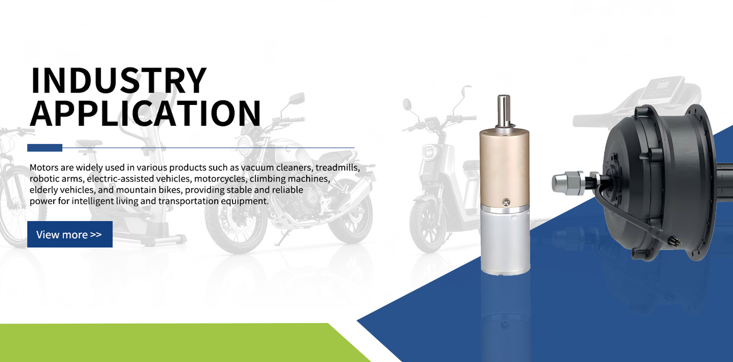 Professional Motor Designer and Manufacturer