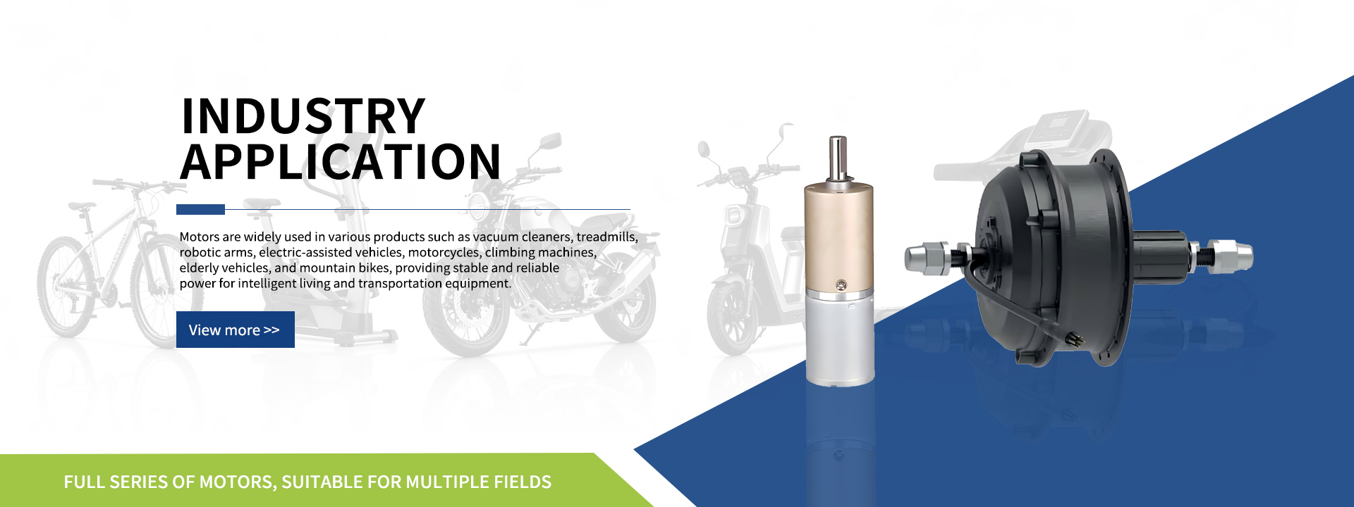 Professional Motor Designer and Manufacturer