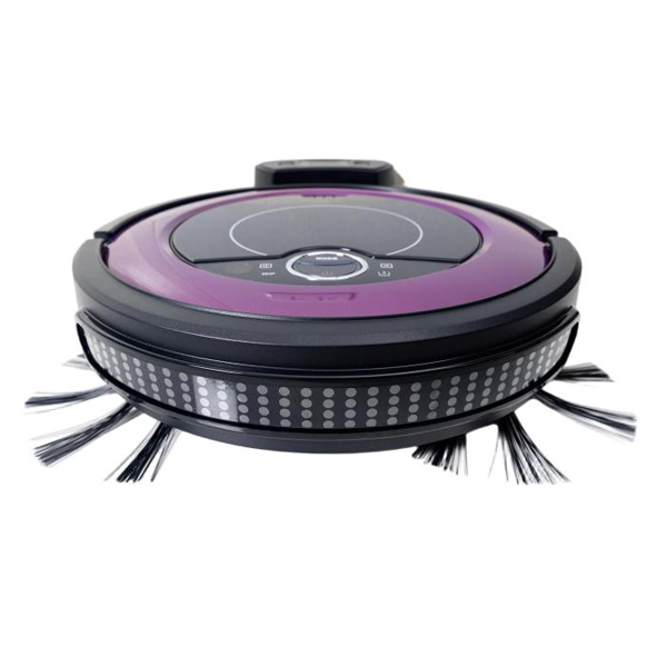 Application of Brushless DC Motor in Vacuum Cleaning Robot